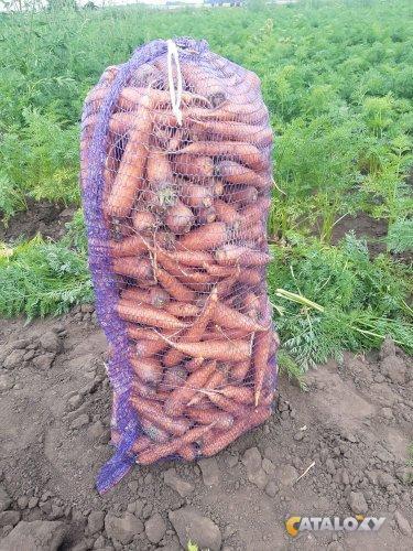 Фото: Купить свежий картофель, морковь, капуста и свекла весной в Алтайском крае в Барнауле, цена 12 рублей — объявление